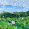 阳光（反诈传递，抖音寻ren）头像