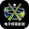电子榨菜影视头像