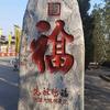 每日一歌头像