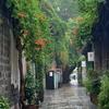 天街小雨头像