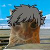 文艺猫meme头像