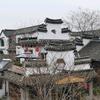 亮哥头像