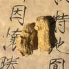 逍遥游本草头像