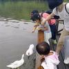 家群零售达人头像