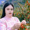 山妹子头像