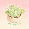 花时间养生活头像