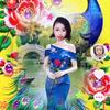 李芹头像