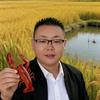江西火哥头像