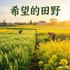 五一希望的田野头像