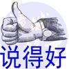 8叶传付993621，头像