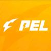PEL和平精英职业联赛选手头像