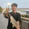 迷途哥（钓鱼🎣仔）头像