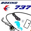 一架东航的波音737头像