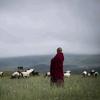 མིས་ཚེ་ཚས་འོ་།头像