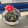 换个角度读小说头像