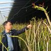 七零后新农人头像