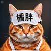 橘胖头像