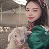 美羊羊的草原生活🐏头像