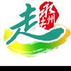 盘你没商量头像