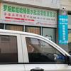 罗姐头像