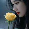 春天的花一样头像