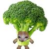 西兰花🥦猫meme头像