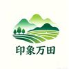印象万田头像