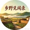 乡野见闻录头像