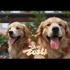 ～爱犬短剧~头像