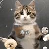 欢迎9527头像