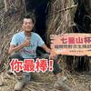 荒野王大励（七星山·骆驼杯）头像