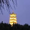 济南大宗商业资产处置头像