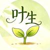 叶生好孕环境说头像
