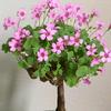 陌上花開头像
