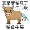 摘下满天星头像