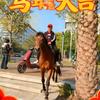 健康养生头像