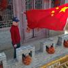 我是小树苗呀头像