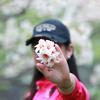 银杏头像