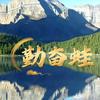 勤奋蛙头像