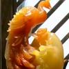 三顺头像