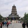 小胖爱吃头像