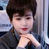 东山再起头像