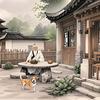 50后爱养生头像