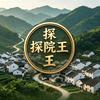 探院王｜乡下有院头像