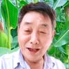 赵哥戏曲头像