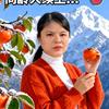 芬妹头像