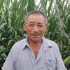 农民科普老邵头像