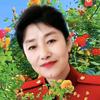 幸福安康头像
