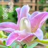 奥同学头像