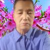 （好运来头像